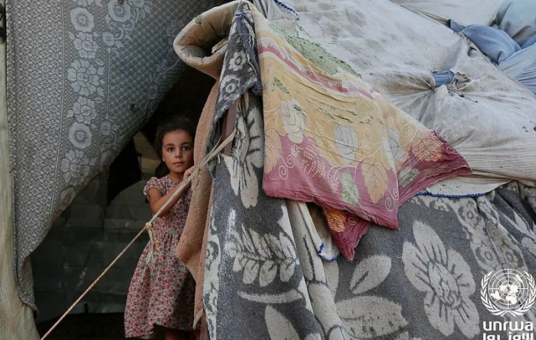Voci da Gaza: non c&rsquo;&egrave; posto come casa